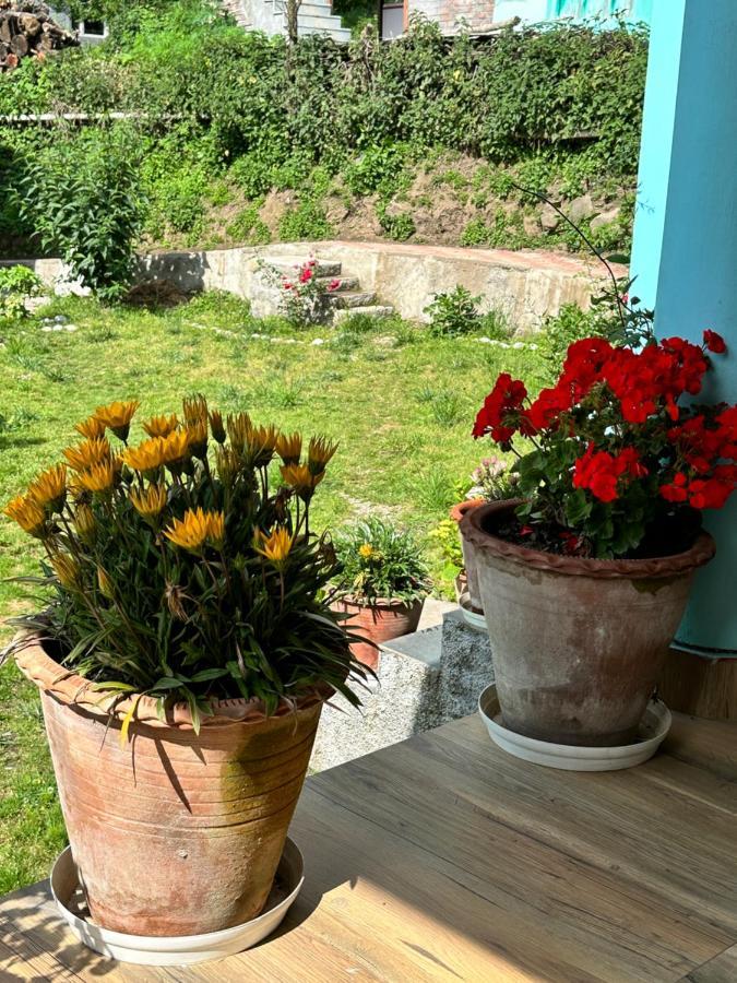 Jal-Vayu Cottages Manāli Exteriör bild