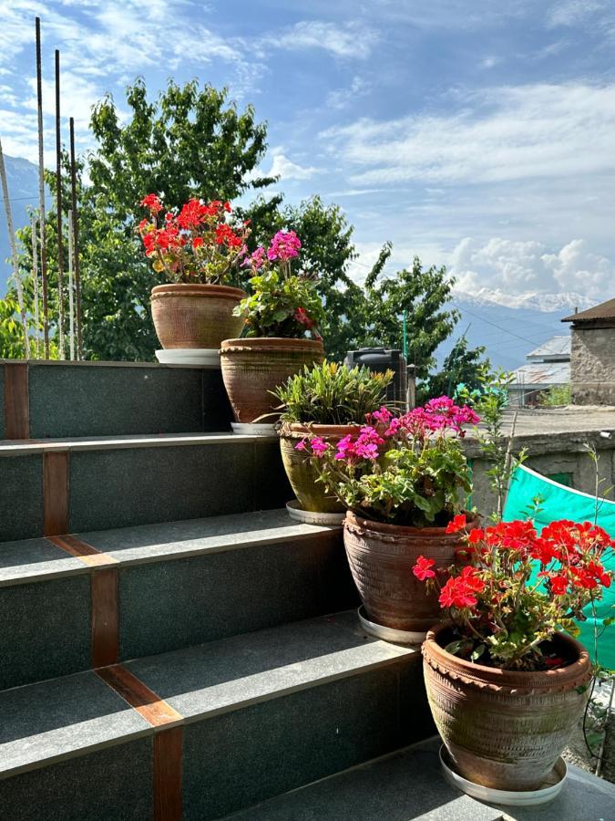 Jal-Vayu Cottages Manāli Exteriör bild